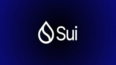 An overview of SUI coin price and factors which effect on its price