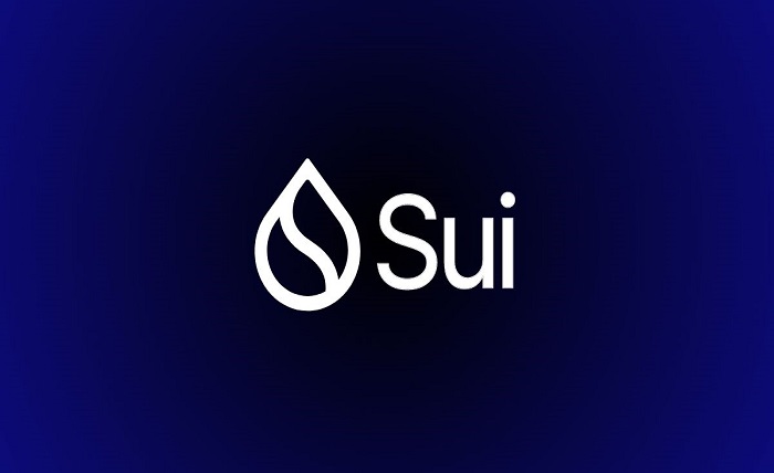 An overview of SUI coin price and factors which effect on its price