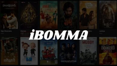 iBomma App Download